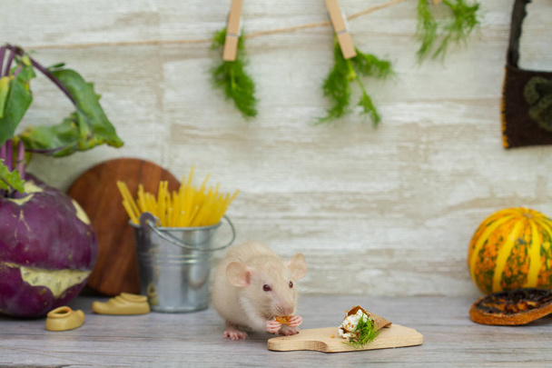 Mały biały puszysty szczur jest symbolem roku 2020. Zwierzęta domowe siedzą w kuchni i jedzą ser i zioła ze stołu. Kuchnia zabawki wnętrza dla myszy - Zdjęcie, obraz
