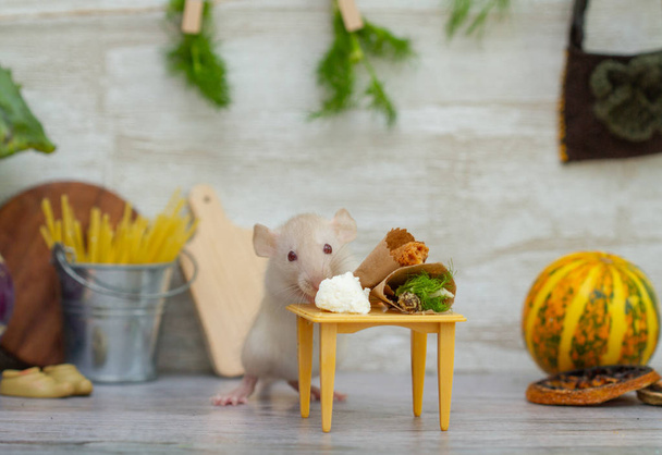 A kis fehér bolyhos patkány 2020 szimbóluma. Egy kisállat ül a konyhában, és eszik sajtot és gyógynövényeket az asztalról. Konyhai játéktér egy egér számára - Fotó, kép