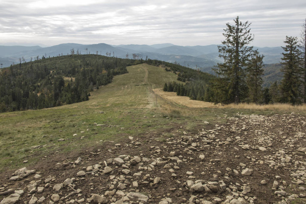 Camino de montaña que también es un sendero turístico en el Beskid Zywiec
 - Foto, Imagen