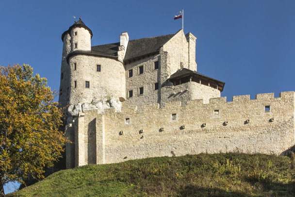 Vista sobre castelo medieval em Bobolice
  - Foto, Imagem