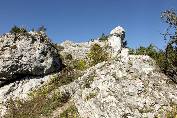 Skały wapienne w rezerwacie przyrody góra Zborow w Jura Kraków - Zdjęcie, obraz