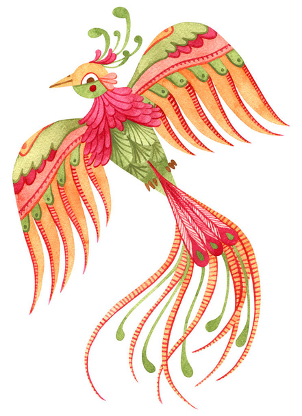 Прекрасний акварельний райський птах. Казка рука розмальована погано
 - Фото, зображення