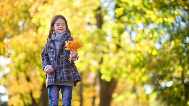 Cute little girl with her hair walks in a beautiful park collects a bouquet of leaves and dreams - Foto, afbeelding