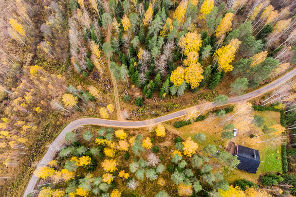 Widok z powietrza na dom i kolorowe lasy w jesienny dzień w Finlandii. Zdjęcia dronów - Zdjęcie, obraz