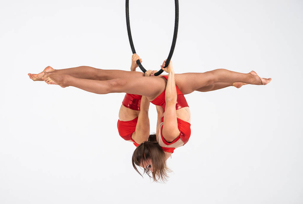 Twins female circus duo on the Aerial hoop isolated on white - 写真・画像