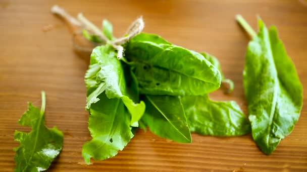 bunch of organic fresh green sorrel, on a table. - Video