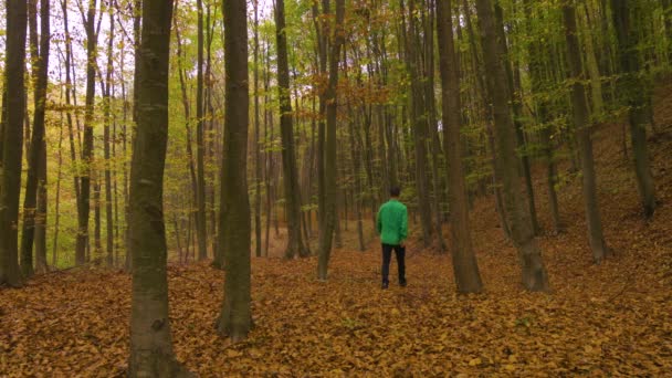 Людина йде лісом восени
 - Кадри, відео