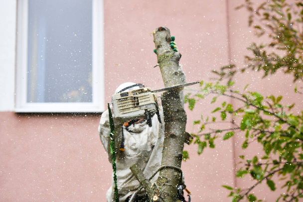 Bir adam bir ağacı yakından kesiyor. Yazı için uygun bir yer. Odun parçaları uçar. Özel giysiler içinde testereyle.. - Fotoğraf, Görsel