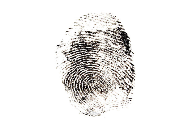 huella dactilar Aislado sobre fondo blanco
 - Foto, Imagen