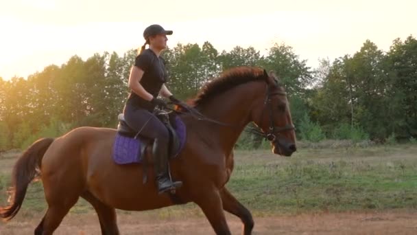 Una donna a cavallo al galoppo al tramonto. Equitazione al rallentatore
. - Filmati, video