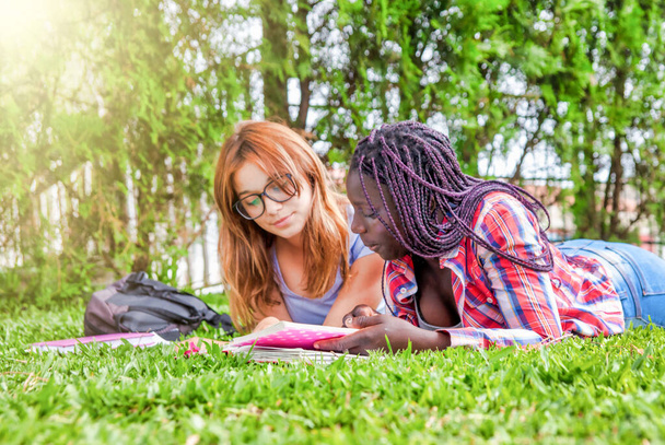 Adolescentes al aire libre haciendo lección de la escuela. Dos amigas multiétnicas. - Foto, imagen