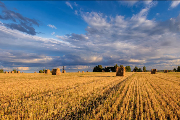 Haystacks on the field in Autumn season with cloudy sky. - Zdjęcie, obraz
