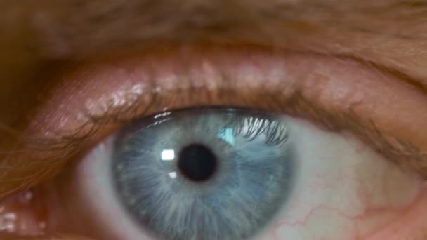 Macro shot of caucasian male blue eye - Záběry, video