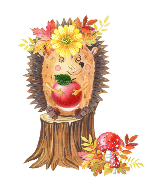 Watercolor hedgehog with red apple on a tree stump.One cartoon forest animal on white - Фото, зображення