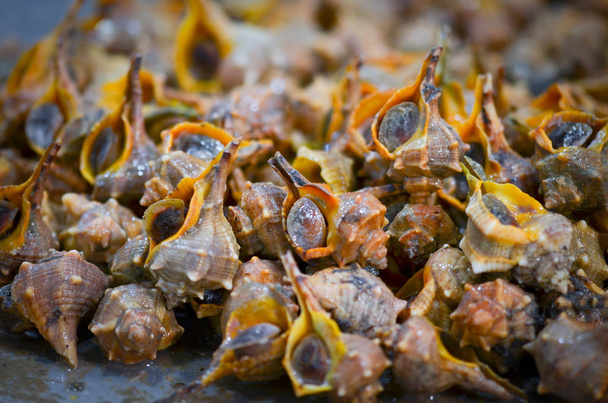 frutos do mar de mistura frescos dentro do mercado de peixe - polvo, conchas, ostras, camarões, lula, peixe
  - Foto, Imagem