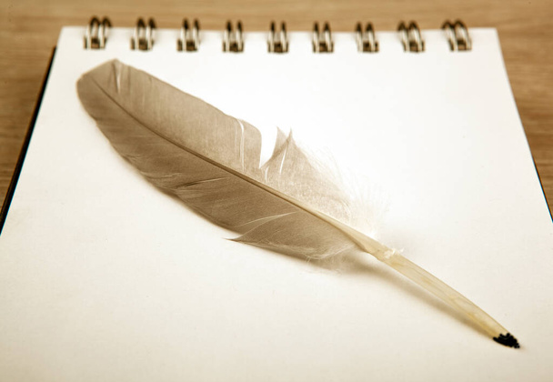 pena de pássaro na forma de uma caneta em um caderno branco
 - Foto, Imagem
