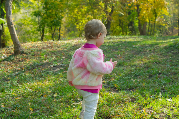 幸せな小さな子供、赤ちゃんの女の子は笑って、自然の中で秋に遊んで屋外で歩く - 写真・画像