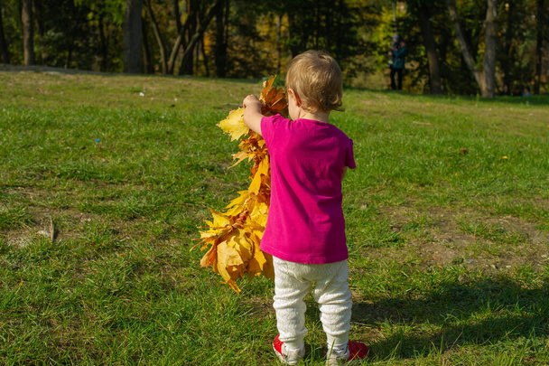 niño feliz, niña riendo y jugando en el otoño en la naturaleza caminar al aire libre
 - Foto, Imagen