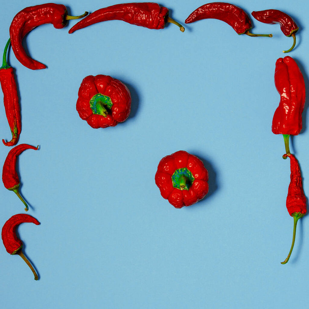 Gedroogde rode chili pepers liggen op een veelkleurige achtergrond - Foto, afbeelding