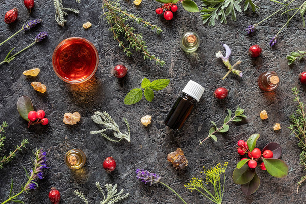 Bottles of essential oil with frankincense, dried rose hips, win - Fotó, kép