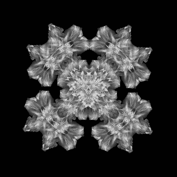Монохромный белый орнаментальный крест из макросов цветов на черном
 - Фото, изображение