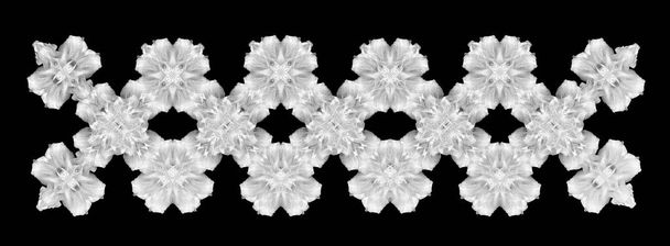 Valla blanca monocromática creada de macros de azucenas sobre negro
 - Foto, Imagen