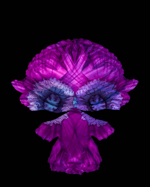 Aranyos fantasy karakter létre makrók lila kék mák virágok - Fotó, kép