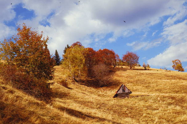 秋の山 - 写真・画像