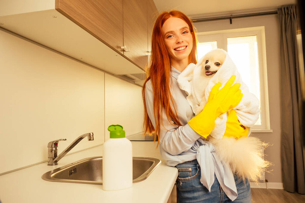 excited funny redhaired girl wearing yellow rubber gloves,wiping with a bath towel her adorable fluffy spitz at home . health and pet treatment concept - Foto, immagini