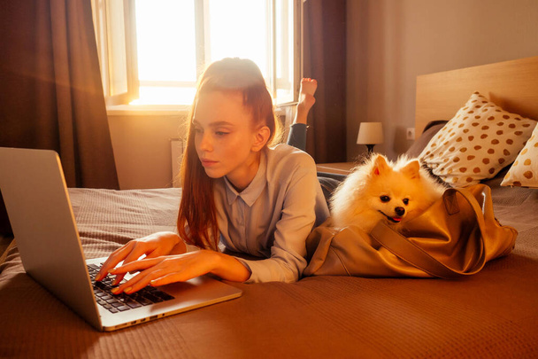 happy redhaired ginger woman lying down in bed with her cute white fluffy dog spitz in travel bag carrying and showing flyght tickets sundown light evening background - Foto, immagini