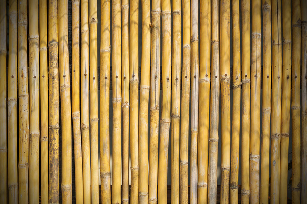 Valla de bambú
 - Foto, imagen