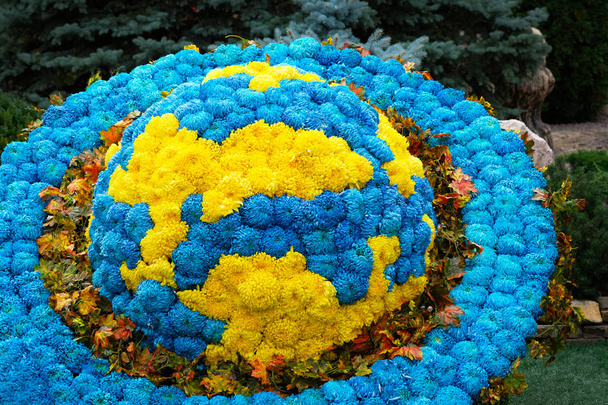 Exposition of chrysanthemums from planet Earth close-up. From yellow and blue chrysanthemums the exposition of the planet Earth is executed. Exhibition of chrysanthemum sculptures in the park. - Photo, Image