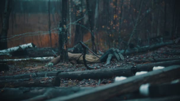 Krajobraz jesiennego mglistego lasu - patyk wystający z ziemi - Materiał filmowy, wideo