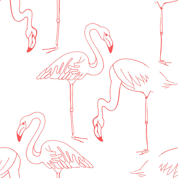 Flamingo hand draw seamless pattern. Vector birds isolated on white background, Digital paper - Вектор,изображение