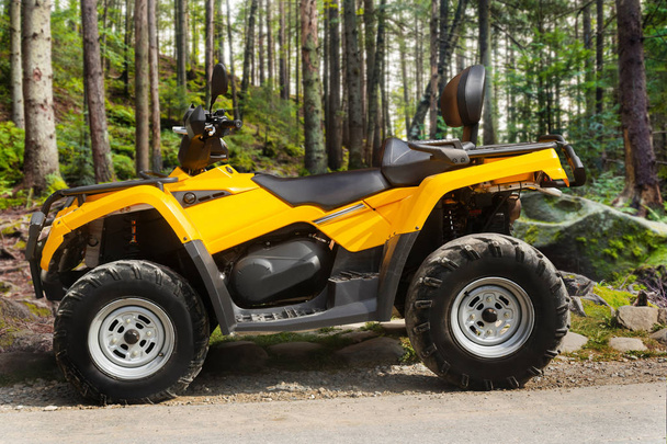 Atv vehicle standing in forest close-up view. - Фото, изображение