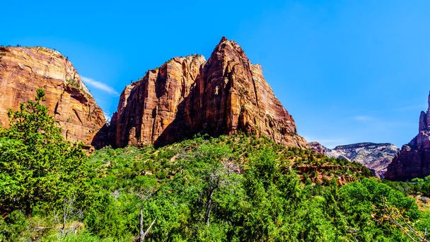 The Spearhead Peak in Zion National Park, Utah, USA, viewed from the Emerald Pools Trail - Photo, Image