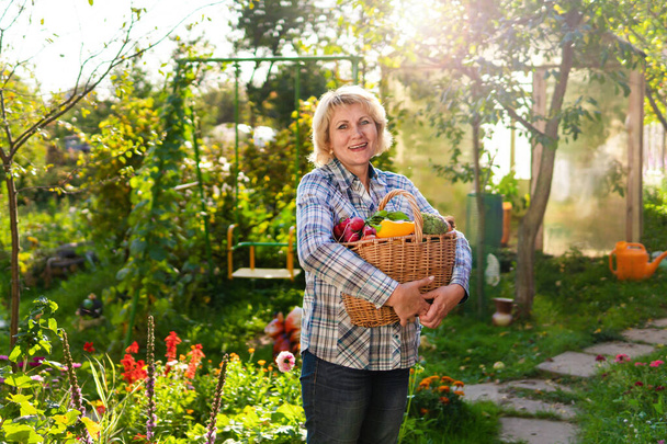 Woman with fresh vegetables in a basket in the garden in autumn - Foto, afbeelding