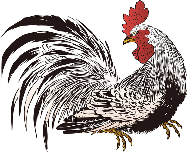 Kurczak Ukiyoe 3 - Wektor, obraz