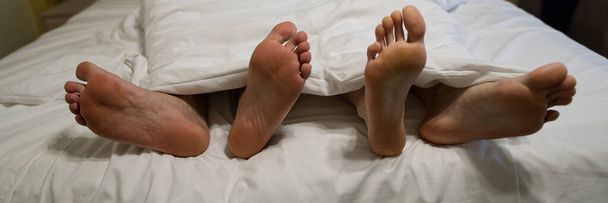 dois pares de pernas na cama sob um cobertor branco. masculino e feminino mentira pés no vermelho cama juntos
. - Foto, Imagem
