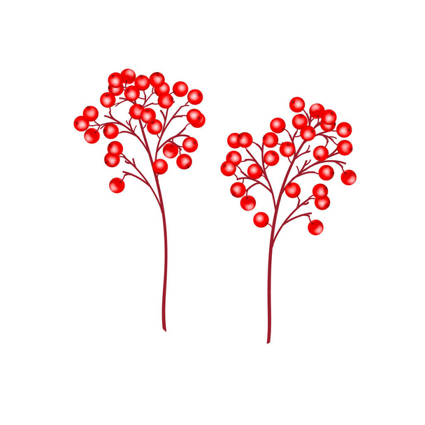 Реалістичні гілки з голлі-червоними ягодами
 - Вектор, зображення