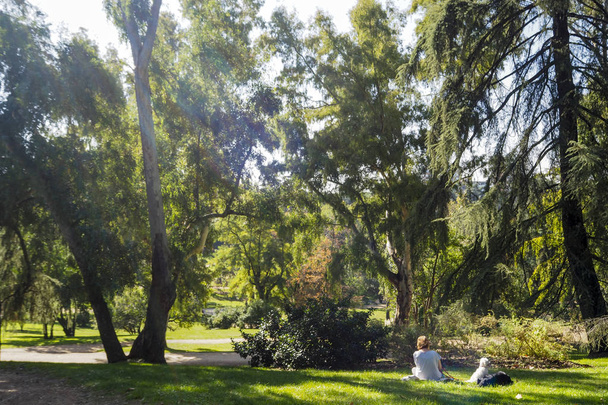 A person enjoys a sunny day at the Parque del Oeste in Madrid, Spain. - Fotó, kép