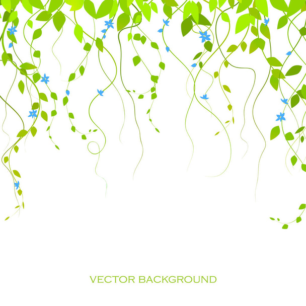 background with green branches and flowers, lianas, vector branches. The curtain is lian - Vektör, Görsel
