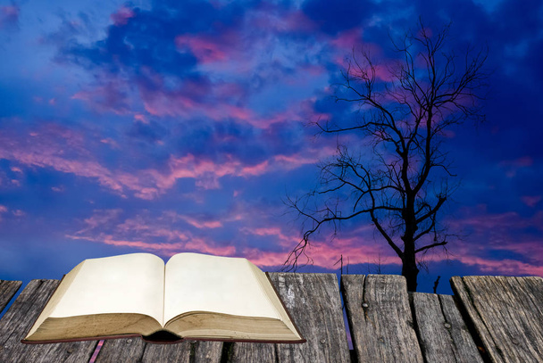 Открытая книга на деревянном столе с силуэтом сушеного дерева с тви
 - Фото, изображение