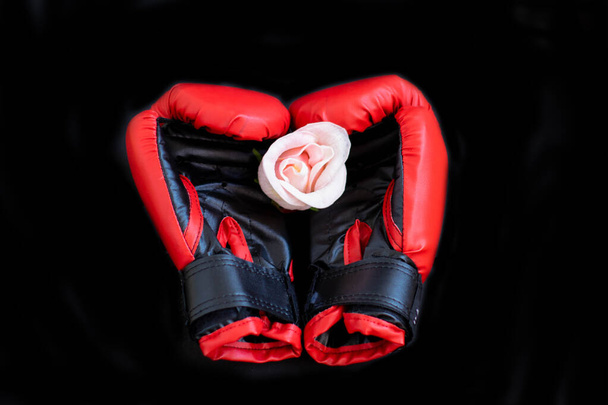 Delicate rose flower in boxing gloves. The concept of intelligent, peaceful power - Zdjęcie, obraz