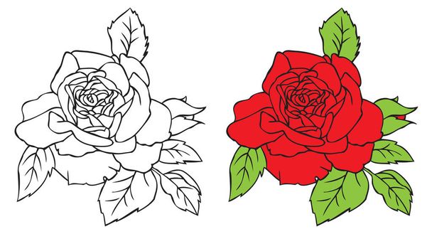 red rose illustration - Вектор,изображение