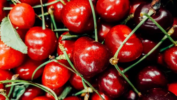 Close up of pile of ripe cherries with stalks and leaves. Large collection of fresh red cherries. Ripe cherries background. - Fotoğraf, Görsel