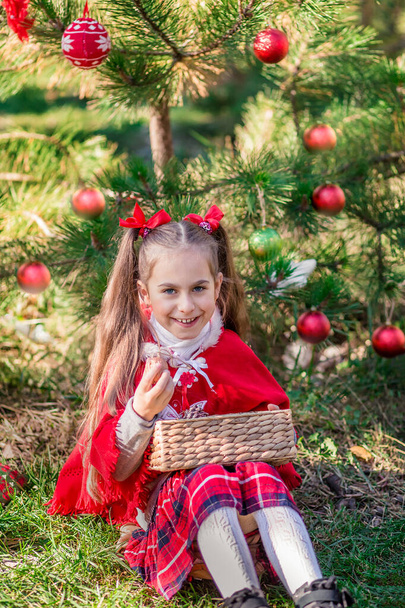 Girl holding Christmas decoration in a basket in her hands. - Photo, Image