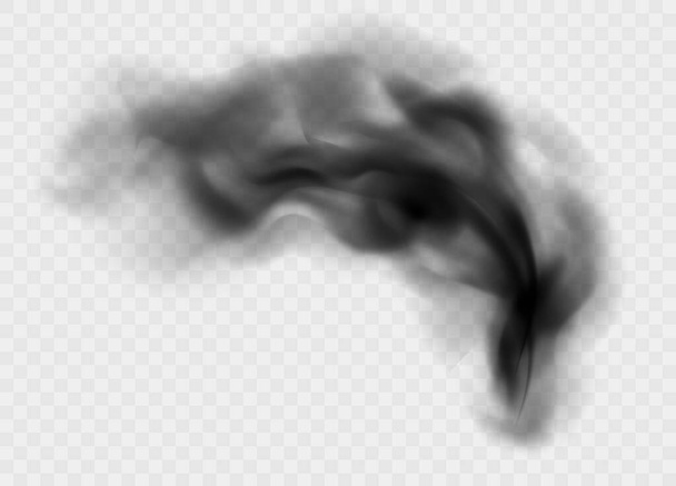schwarze Rauchwolke isoliert auf transparentem Hintergrund. schwarze Trübung oder Smog. realistischer dunkler Vektoreffekt - Vektor, Bild