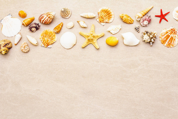 Seashells sfondo estivo
 - Foto, immagini