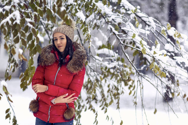  Girl in snowy winter. Woman enjoying in the snow. - Фото, зображення